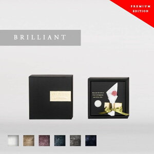 yz؂琶܂ꂽ }bNX}eA  nJ` BRILLIANT ԑ  I a nh^I v[g Mtg u[P   ɏ ԑ  t[ ސEj N  LOi