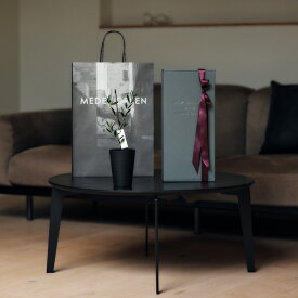 【 最新作 】 MAXMATERIA feat MEDEL GREEN ◆ フェイスタオル 2枚 ＆ オリーブ 1本 ◆　BRANDセッション　ギフトSETBOX入り　オリーブ：底から葉先まで約25〜40cm前後に剪定済 おしゃれ セット