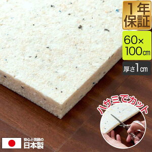 { `bvE^ 60cm×100cm 1cm 1 DIYf X|Wf pr NbV ֗pE^ E^V[g E^}bg `bvŌ`E^ NbV̒ւAՌz