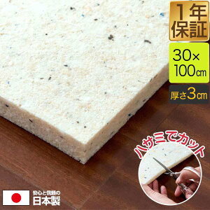 { `bvE^ 30cm×100cm 3cm 1 DIYf X|Wf pr NbV ֗pE^ E^V[g E^}bg `bvŌ`E^ E^X|W ւA