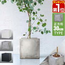 【楽天1位】プランター 大型 30×30cm スクエア 正方形 深型 ファイバークレイ 植木鉢 鉢植えカバー 鉢カバー 目安 5…