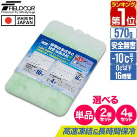 保冷剤 長時間 繰り返し 保冷パック ノーザンクーラー アイスパック 2個組 9.2×16.2cm FIELDOOR NORTHERN COOLER ICE PACK 保冷パック 強力保冷剤 氷点下 クーラーボックス 保冷庫 保冷バッグ アウトドア BBQ キャンプ 釣り 防災グッズ 1年保証 ★[送料無料]