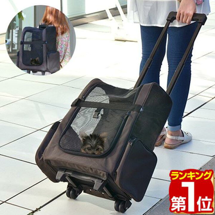 楽天市場】【楽天1位】4way ペット キャリーバッグ ペットキャリー 猫 
