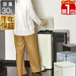 �y�y�V1�ʁz�S�~�� 30L �y�_�� �ӂ��t�� �y�_���J�� �c�^ �X�`�[�� �������Â��Ƀt�^���܂� �e�� 30���b�g�� �_�X�g�{�b�N�X �΂��� ���ݔ� ������ �L���R��h�~ �C���e���A ���r���O 