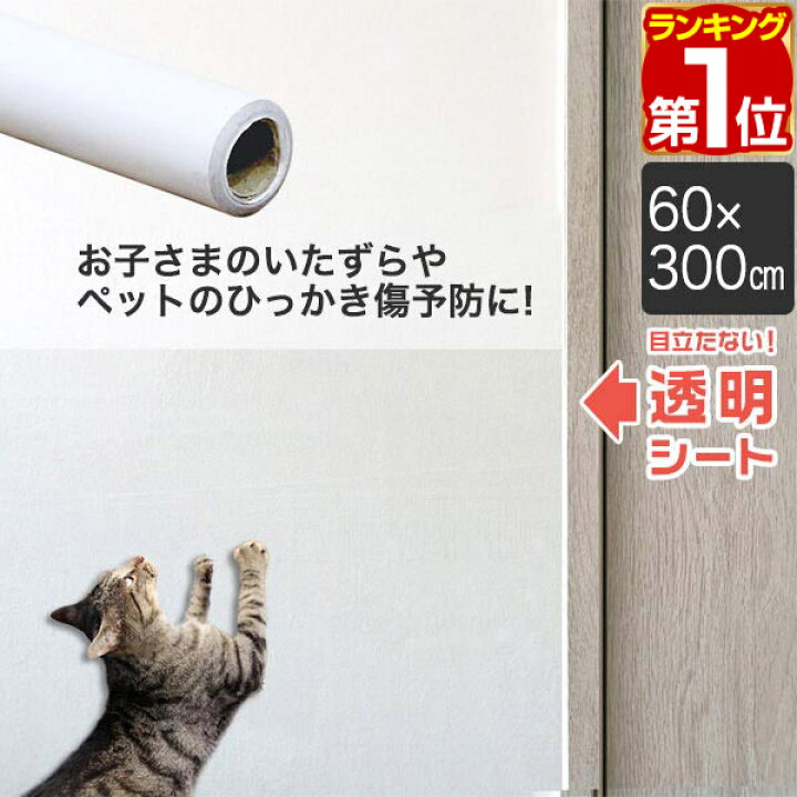 楽天市場 楽天1位 壁保護シート 60cm 300cm 透明 クリア 貼ってはがせる 弱粘着 フリーカット 保護フィルム ペット 犬 猫 爪とぎ防止 落書き 汚れ防止 傷防止 キズ防止 壁紙 保護 台所 洗面所 トイレ リビング 新生活 ペット壁保護シート 1年保証 送料無料 あす楽