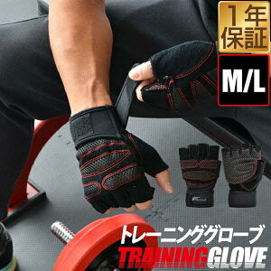 g[jOO[u g[jO  EFCgg[jO o[xVtg _x ؃g ObY XgXgbv Xgbv W jp MTCY LTCY 1Nۏ [