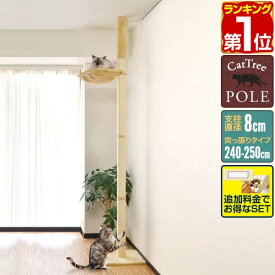 【楽天1位】キャットツリー 突っ張り 直径 8cm 高さ 240 - 250cm 幅 40cm ハンモック付き 猫タワー シニア 運動不足 猫ちゃん 木登り きのぼり 木登りタワー 木登りキャットポール 組み立て 設置 簡単 爪とぎ 多頭 猫 ねこ ペット スリム 1年保証 ★[送料無料]