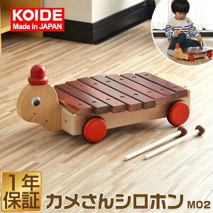 RCf KOIDE {  ߋ JVz M02 ؋ 8 y m  1 2 j̎q ̎q q c xr[ mߋ oYj a Ebh VR Y 1Nۏ []