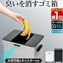 【楽天1位】ゴミ箱 自動開閉 ステンレス 50L/68L 2サイズ 臭わない オゾン 消臭 除菌 ふた付き スライド開閉 分別 70L…