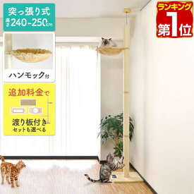 【楽天1位】キャットツリー 突っ張り 直径 8cm 高さ 240 - 250cm 幅 40cm ハンモック付き 猫タワー シニア 運動不足 猫ちゃん 木登り きのぼり 木登りタワー 木登りキャットポール 組み立て 設置 簡単 爪とぎ 多頭 猫 ねこ ペット スリム 1年保証 ★[送料無料]