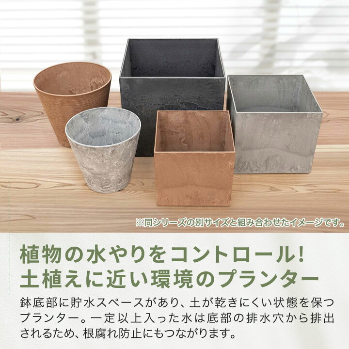 楽天市場】【7,260円→SALE6,600円〜7/11(土)01:59まで】【楽天1位 