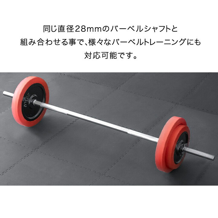 楽天市場】【楽天1位】ダンベル バーベル 用 プレート 1.25kg/2.5kg 