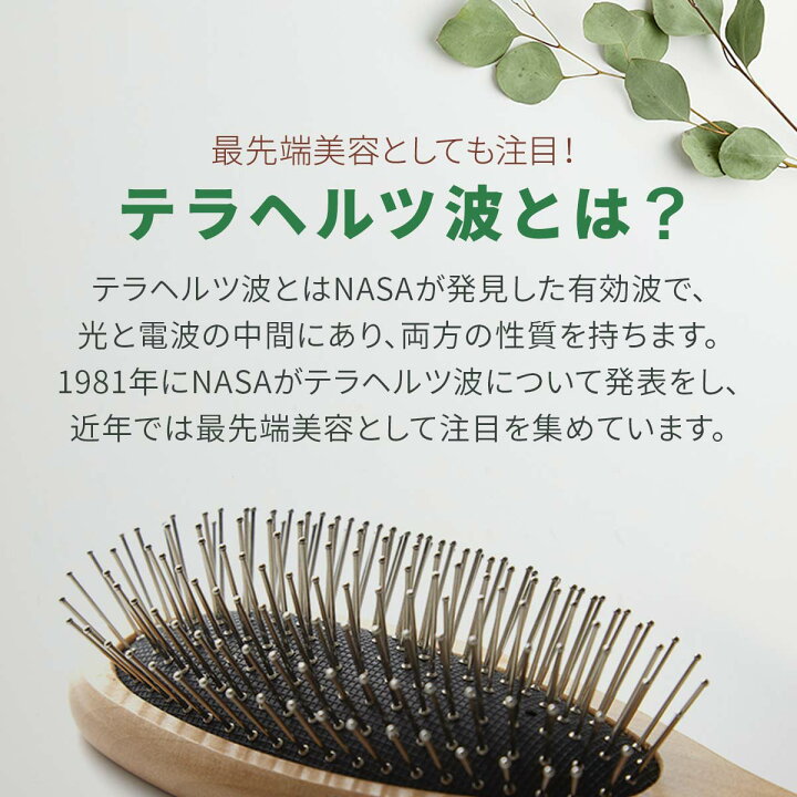 楽天市場】【楽天1位】正規品 TERA BRUSH テラブラシ 21.5cm 木製  