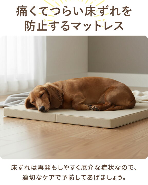 楽天市場】【楽天1位】 犬用 床ずれ防止マット クッション ペット用 