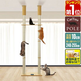 【10,450円→SALE9,790円〜6/11(木)01:59まで】【楽天1位】キャットツリー 突っ張り ツイン 直径 10cm 高さ 240 - 255cm 幅 75cm 渡り板付き 猫タワー シニア 運動不足 木登り きのぼり 木登りタワー 木登りキャットポール 組み立て 設置 ★[送料無料]