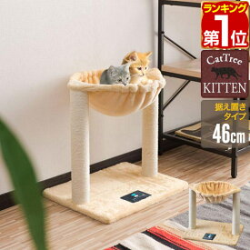 【3,520円→SALE3,190円〜6/11(木)01:59まで】【楽天1位】キャットツリー 据え置き 爪とぎ ハンモック 付き 高さ 46cm 幅 49cm 小型 子猫 シニア 運動不足 猫ちゃん KITTEN 組み立て 設置 簡単 スクラッチ 猫 ねこ ペット ペット用品 ★[送料無料]