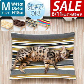 【楽天1位】【SALE特価2,970円6/11(火)14:59まで】猫 ベッド ハンモック Mサイズ 54cm 耐荷重 6kg ペットベッド キャットハンモック 猫用 ペット用 木製 小型 お昼寝 ペットソファ ペット ソファー ソファ クッション ペット用品 グッズ ★[送料無料]