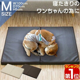 【5,720円→SALE4,950円〜7/11(金)01:59まで】【楽天1位】ペット 床ずれ 防止 クッション ペット用 床ずれ防止マットレス Mサイズ 100 x 70 x 5cm 介護マット ケアマット マット ペットベッド 犬 猫 シニア 小型犬 高齢 シニア犬 老犬 寝 ★[送料無料]