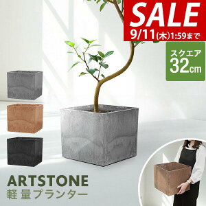 y5,500~SALE4,950~`9/11()01:59܂ŁzyyV1ʁzv^[ ^ 32cm×29cm lp XNGA v^[{bNX Aؔ AJo[ v^[Jo[ Jo[ 6`10A11  