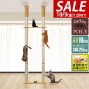 【10,450円→SALE9,790円〜10/9(金)01:59まで】【楽天1位】キャットツリー 突っ張り ツイン 直径 10cm 高さ 240 - 255…