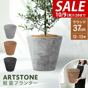 y4,400~SALE3,960~`10/9()01:59܂ŁzyyV1ʁzv^[ ^ X a37cm×34cm  Eh v^[{bNX Aؔ AJo[ v^[Jo[ Jo[ 8`12A13 