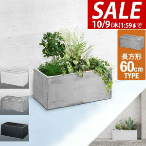 y10/1_tf[zyyV1ʁz v^[ ^ X 60cm×27cm ` v^[{bNX Aؔ AJo[ v^[Jo[ Jo[ ڈ 5`8 O K[fjO 