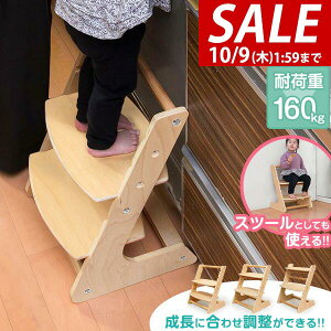 y10/1_tf[zyyV1ʁzXebv ݑ q 2i 2WAY ؐ ֎qEXc[ɂ ߉\ ω׏d160kg  ʏ ʑ gC    Lb` `