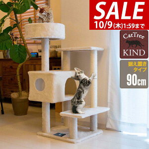 y5,390~SALE4,510~`10/9()01:59܂ŁzyyV1ʁzLbgc[ ^[ u X ȃXy[X 90cm×60cm i nEXt L^[ qL VjAL ^s L KIND90 