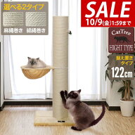 【6,600円→SALE5,940円〜10/9(金)01:59まで】【楽天1位】爪とぎ 猫 極太 ポール ハンモック 付き 直径 2…