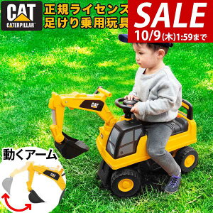 y10/1_tf[zyyV1ʁz pߋ  VxJ[  蕨 p pVxJ[  CAT L^s[ O OV r oXo V   ͂炭