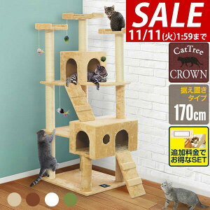 y9,130~SALE8,580~`11/11()01:59܂ŁzyyV1ʁzLbgc[ u X  170cm  55cm nEXt L^[ VjA ^s L CROWN170 gݗ ݒu ȒP ܂Ƃ Ki 