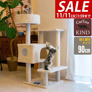 y5,390~SALE4,620~`11/11()01:59܂ŁzyyV1ʁzLbgc[ ^[ u X ȃXy[X 90cm×60cm i nEXt L^[ qL VjAL ^s L KIND90 