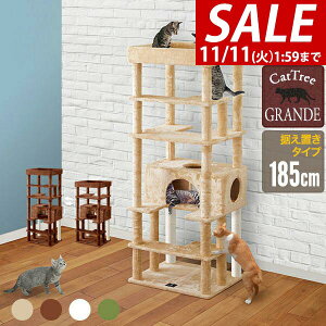 y16,170~SALE14,520~`11/11()01:59܂ŁzyyV1ʁzLbgc[ u  185cm  70cm t L^[ VjA ^s L GRANDE SUPERIOR185 gݗ ݒu ȒP ܂Ƃ nEX