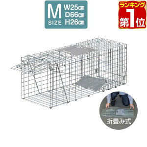 yԌ3,300~`11/11()01:59܂ŁzyyV1ʁz ߊl MTCY 25x66x26cm  Lp  ol Aj}Lb`[ L qL ǔL  L C^`  Qb ی ߊl 