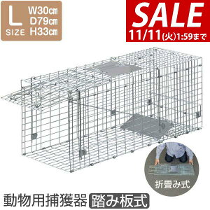 y4,180~SALE3,850~`11/11()01:59܂ŁzyyV1ʁz ߊl LTCY 30x79x33cm  Lp  ol Aj}Lb`[ L qL ǔL  L C^`  Qb ی ߊl 