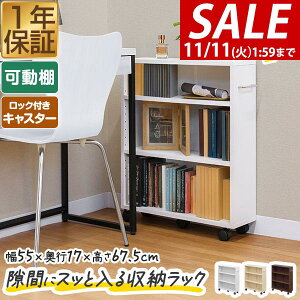 y11/1_tf[z{I X LX^[ [bN Ԏ[ 3i 55cm×s17cm×67.5cm [^Cv S  R~bN ɖ{ ȃXy[X ^ RpNg  N[[