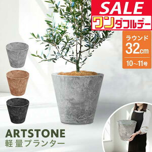 y12/1_tf[zyyV1ʁzv^[ ^ X a32cm×29cm  Eh v^[{bNX Aؔ AJo[ v^[Jo[ Jo[ 6`10A11  O y