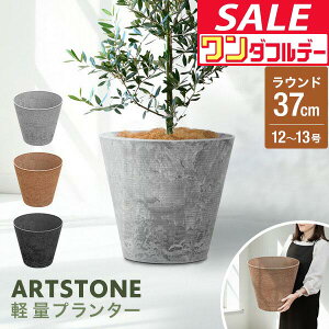 y12/1_tf[zyyV1ʁzv^[ ^ X a37cm×34cm  Eh v^[{bNX Aؔ AJo[ v^[Jo[ Jo[ 8`12A13  O y