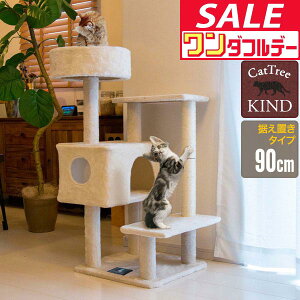 y12/1_tf[zyyV1ʁzLbgc[ ^[ u X ȃXy[X 90cm×60cm i nEXt L^[ qL VjAL ^s L KIND90 ܂Ƃ XN