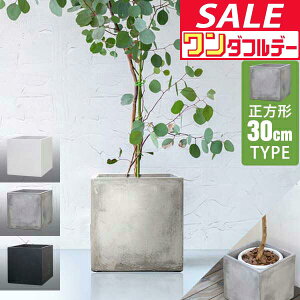 y12/1_tf[zyyV1ʁzv^[ ^ 30×30cm XNGA ` [^ t@Co[NC Aؔ AJo[ Jo[ ڈ 5`8 O  K[fjO ϗtA  