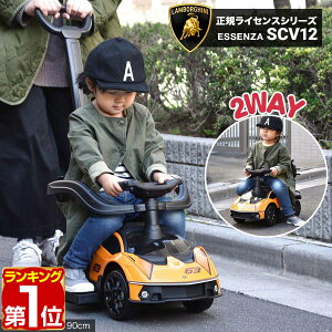 y12/1_tf[zyyV1ʁzpߋ  艟 {M[j GbZc@ 2WAY KCZX Lamborghini Essenza SCV12   蕨 O O OV  S K[h w