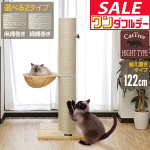 y12/1_tf[zyyV1ʁz܂Ƃ L ɑ |[ nbN t a 20cm  122cm  77cm Iׂ   ꊪ ˂ ߂Ƃ lR ܂Ƃ|[ ܌ ܂݂ Lbgc