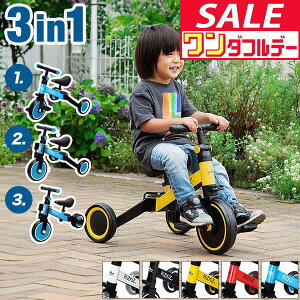 y12/1_tf[zyyV1ʁzO֎ ܂肽 3WAY LbYoCN pߋ 1΂  3֎  3in1 oCN y_ y_Ȃ]  蕨 OV o