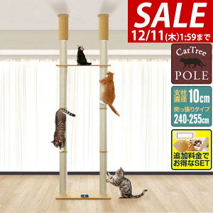 y10,450~SALE9,790~`12/11()01:59܂ŁzyyV1ʁzLbgc[ ˂ cC a 10cm  240 - 255cm  75cm nt L^[ VjA ^s ؓo ̂ڂ ؓo^[ ؓo