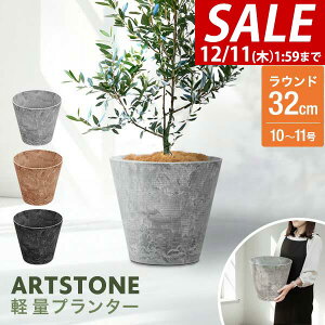 y3,300~SALE2,970~`12/11()01:59܂ŁzyyV1ʁzv^[ ^ X a32cm×29cm  Eh v^[{bNX Aؔ AJo[ v^[Jo[ Jo[ 6`10A11 