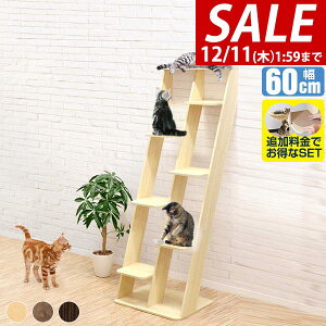 y7,920~SALE6,930~`12/11()01:59܂ŁzyyV1ʁzLbgc[ u X ؐ ȃXy[X  175cm  60cm L^[ VjA ^L i ^s LbgVFt Ƌ gݗ