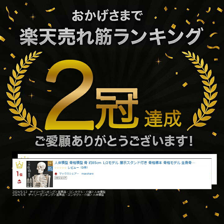 楽天市場】【楽天1位】人体模型 骨格模型 骨 約85cm 1/2モデル 展示 