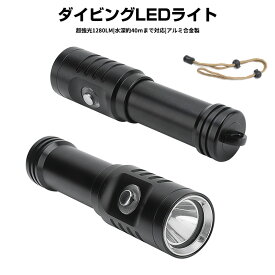 楽天市場 ダイビング 懐中電灯の通販