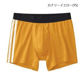 20%OFF GUNZE 【グンゼ】adidas アディダス メンズ ボクサーブリーフ 前閉じ (M・L・LLサイズ) APB380B 父の日