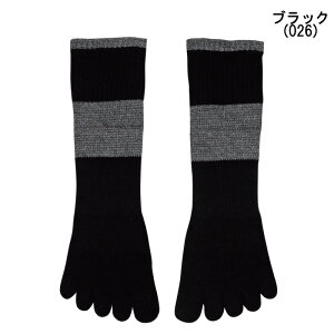 10%OFF O[ GUNZE Y \bNX ANeBuX^C A[`T|[gt V[g 5{w\bNX RۖhLH (25~27cmTCY) AS0104 NX}X